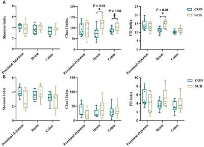 Saccharomyces cerevisiae boulardii accelerates intestinal microbiota maturation and is correlated with increased secretory IgA production in neonatal dairy calves